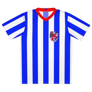 Sports Jersey ALL - Blue and White