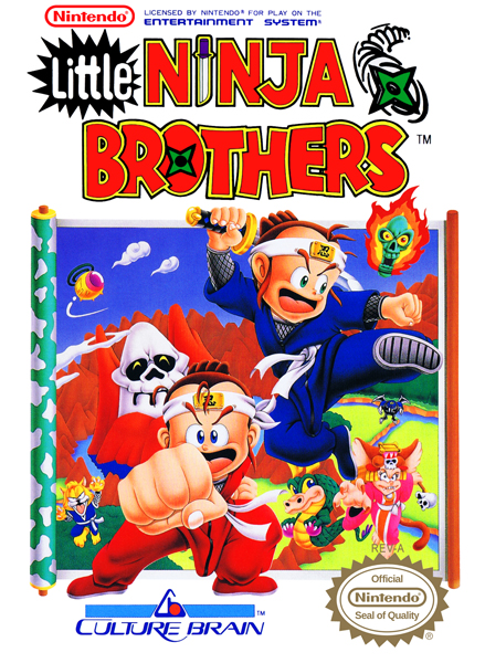 Little Ninja Brothers Box Art